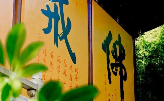 在梦中我犯戒了,我自问:我是发自内心的爱护众生吗?