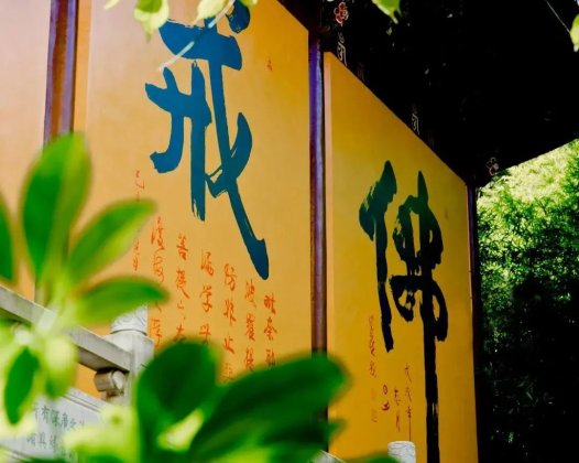 日常中我该如何穿钉耙杵拐杖？