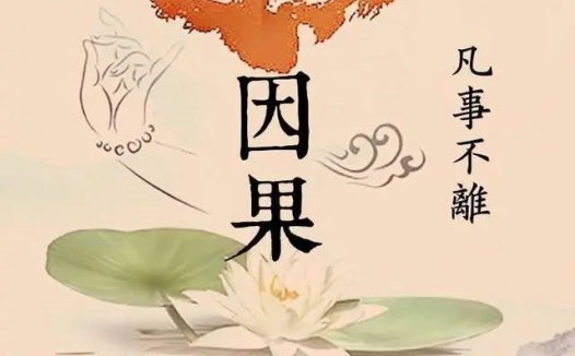 算命大师说大 S 难以活过 50 岁 我们该怎么科学看待?