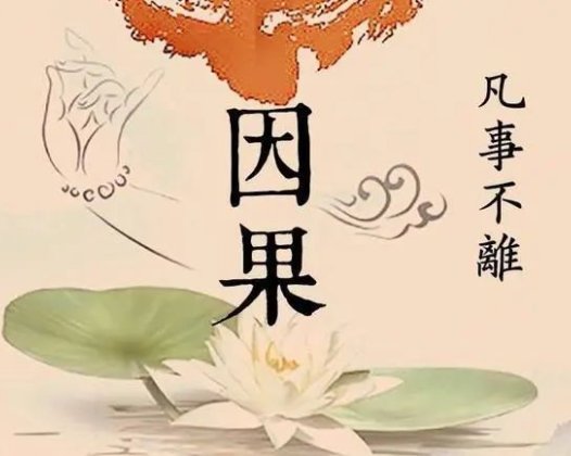 算命大师说大 S 难以活过 50 岁 我们该怎么科学看待？