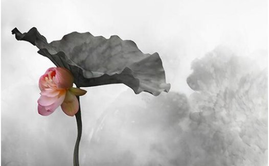 岁月奔流不息，我们踏实过好今天了吗？