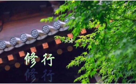 学佛,要跟有实际证量的圣德学还是跟凡夫学?