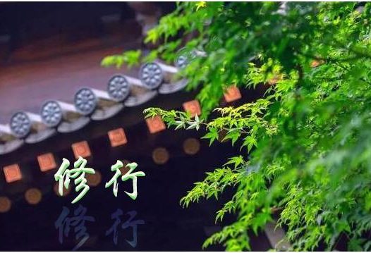 爱打妄语的我,真的该反省了!