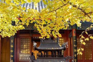 关於无常对境起修的一些思考
