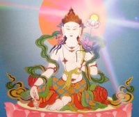 南无除盖障菩萨