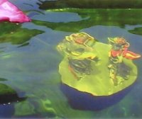 胜义浴佛法会 七支圣境眼前现 证量取水真浴佛