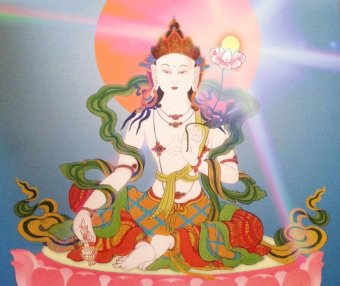 南无除盖障菩萨