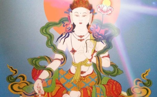 南无除盖障菩萨