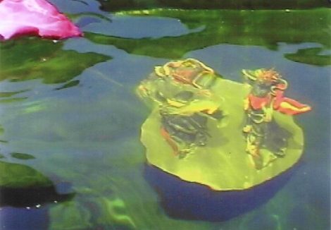 胜义浴佛法会 七支圣境眼前现 证量取水真浴佛