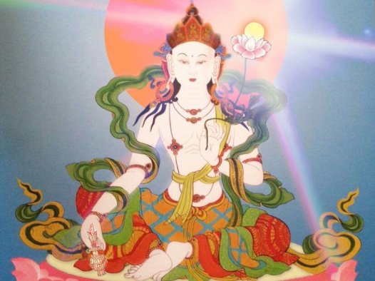 南无除盖障菩萨