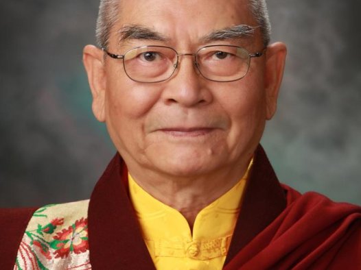 禄东赞法王生死自由 预时坐化圆寂